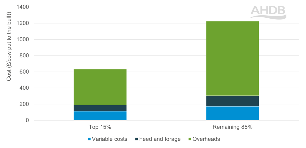 Cost of production per cow by cost type